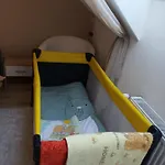 Sasvar *